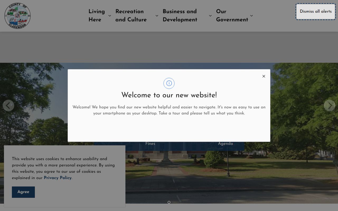 Clarendon County government website for booking releases